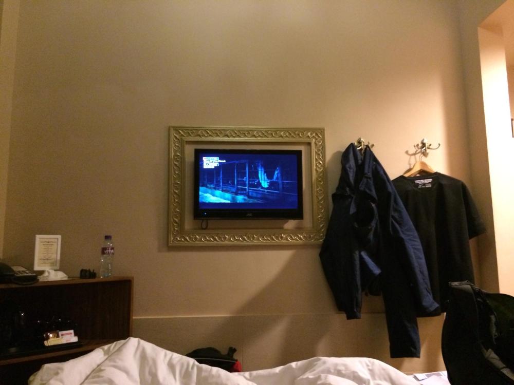 華美達海景酒店-酒店景观