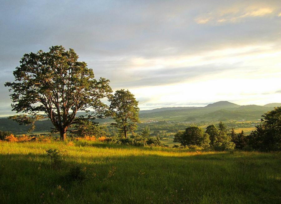 Mount Pisgah-尤金必去景点