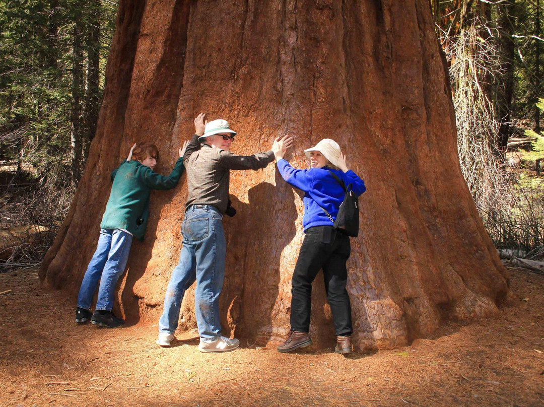 Mountain Shuttle Yosemite-奥克赫斯特必去景点