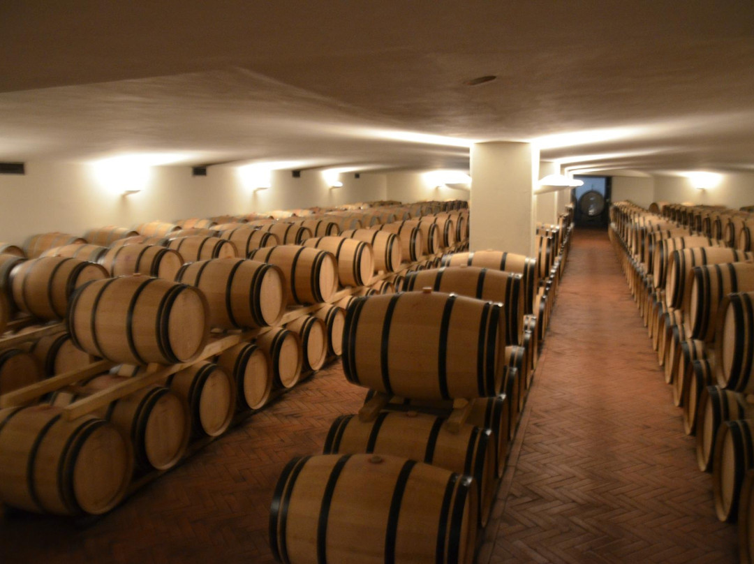 Fontodi Winery-Panzano in Chianti必去景点