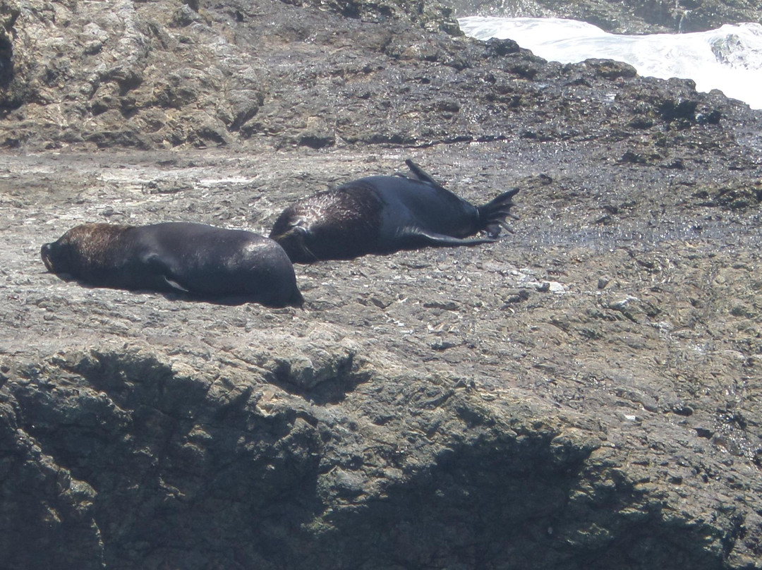 La Lobería-萨利纳斯必去景点