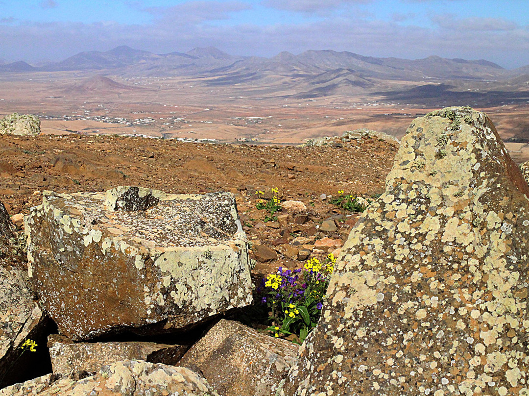 Vega de Rio Palmas旅游攻略图片