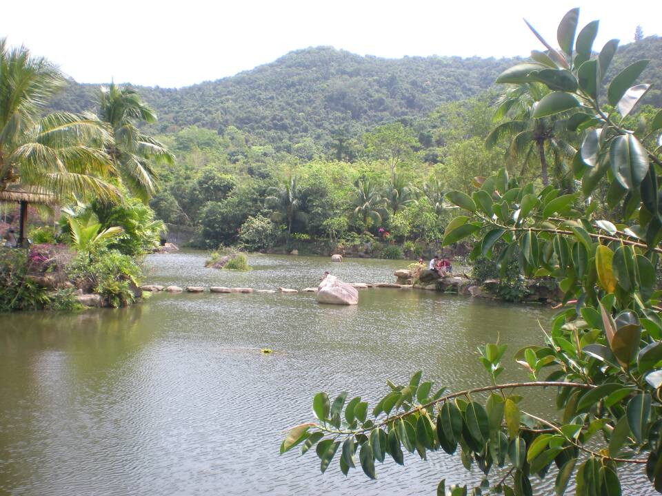 呀诺达雨林文化旅游区景点图片