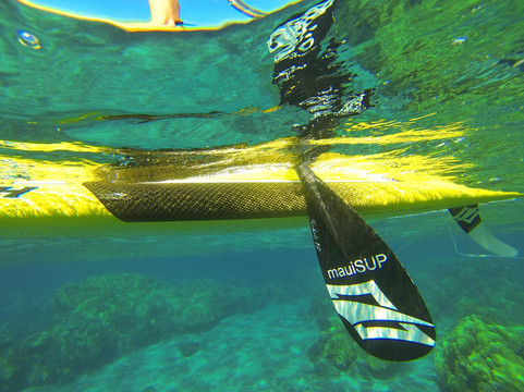 Maui SUP Boards-拉海纳必去景点