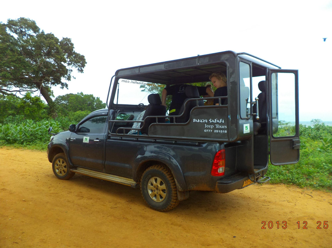 Panchi Safari Jeep Tours景点图片