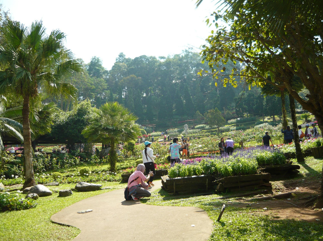 Doi Tung-夜发銮必去景点
