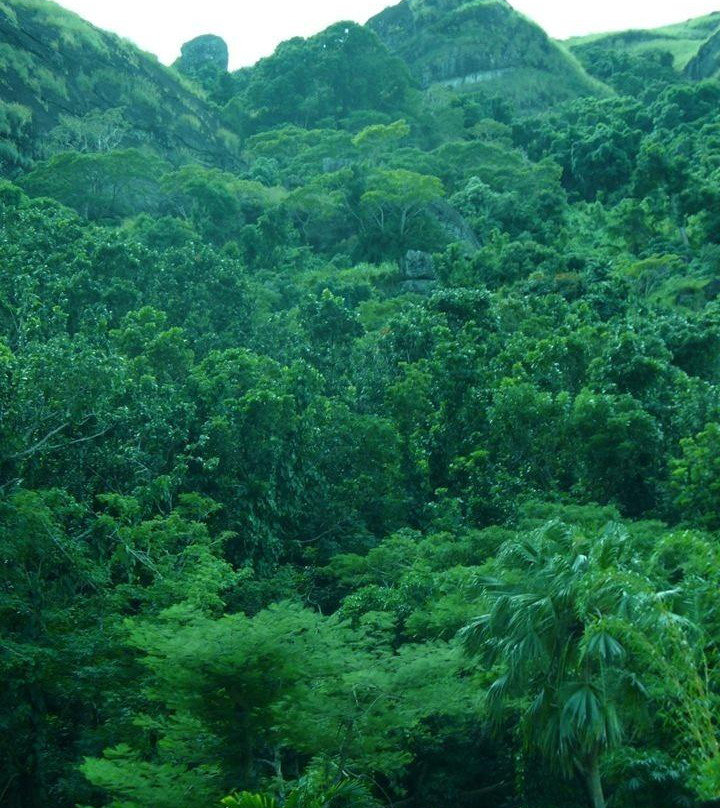 巨人的沉睡花园-纳迪市必去景点