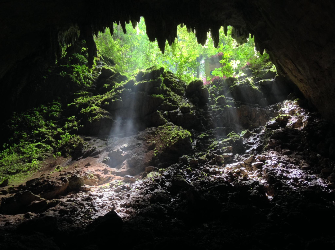 里约热内卢佳美洞公园 (Parque de las Cavernas del Rio Camuy)景点图片