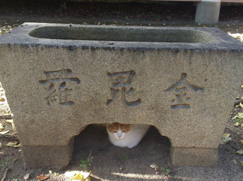 Ibun Jinja Shrine-西尾市必去景点