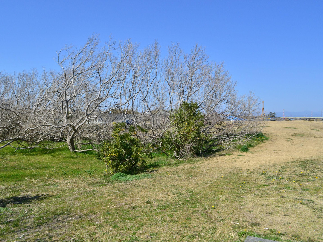 Fukuda Beach-磐田市必去景点