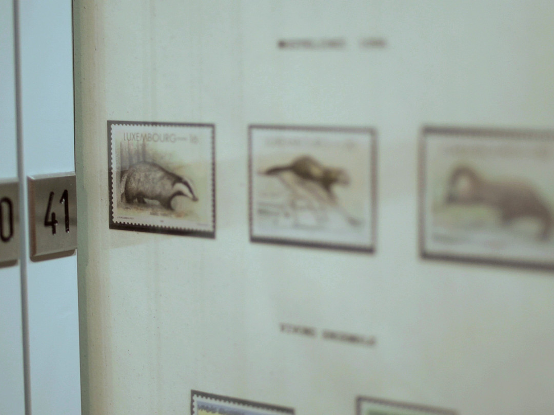 Musée du Relais postal-Asselborn必去景点