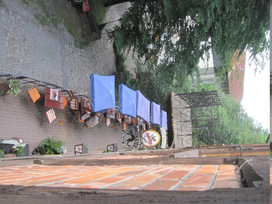 Pension Kleiner Waldkater