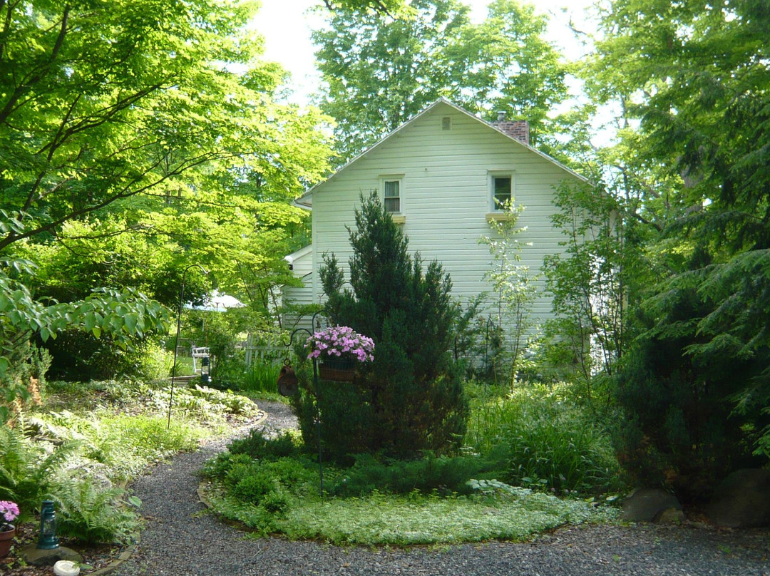 A Little Guest House主图