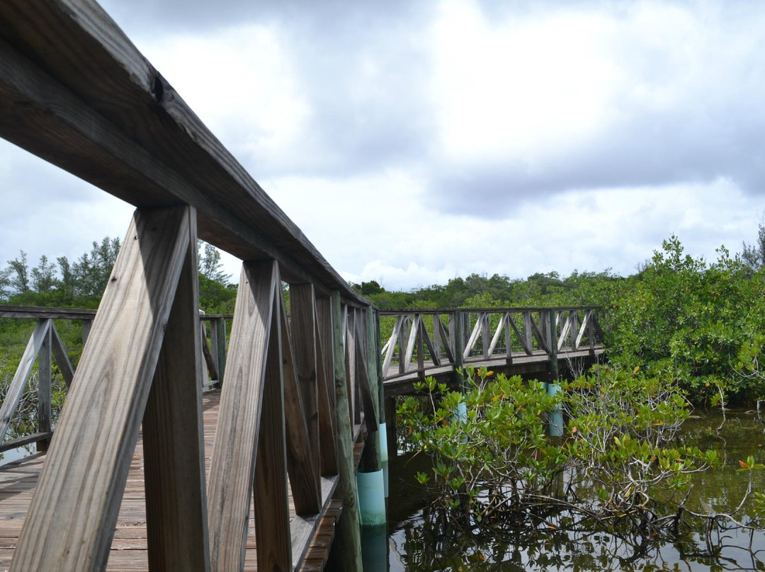 Lucayan Caverns景点图片