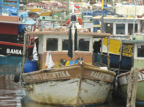 Praia de Alcobaça-Alcobaca必去景点