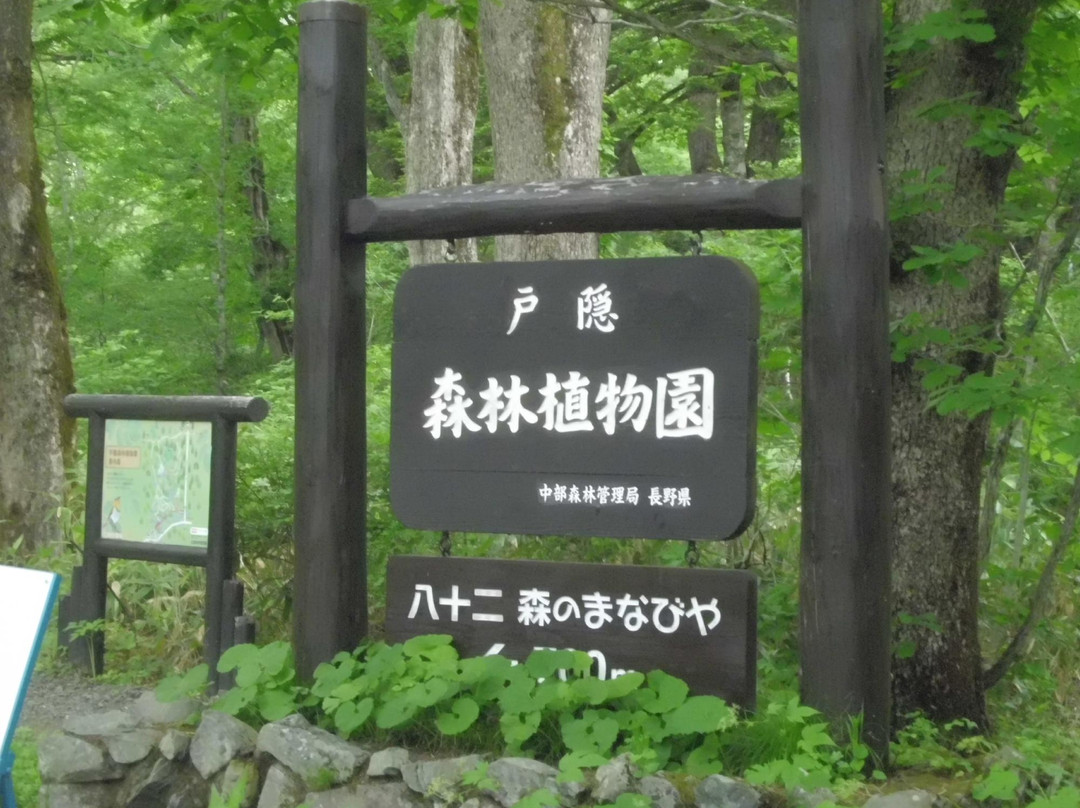 Togakushi Forest Botanical Garden-长野县必去景点