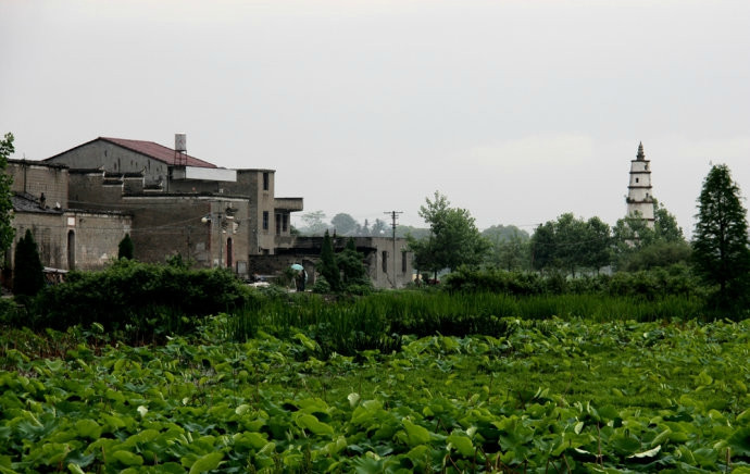 白马寨明清古建筑群景点图片
