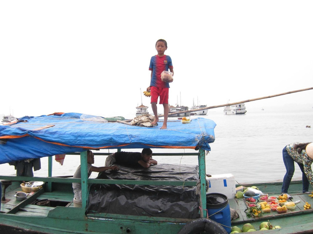 Lan Ha Bay-卡巴必去景点