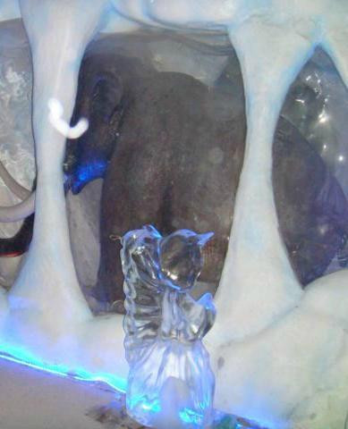 Parque Tematico Mundo Gelado-卡内拉必去景点