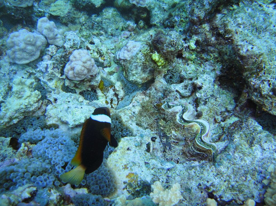 Blue Palms - Day Tours-Rota必去景点