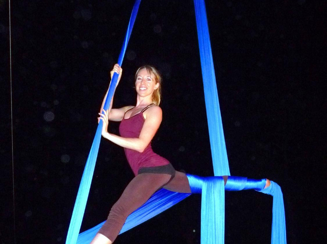 Aerial Trapeze Academy景点图片