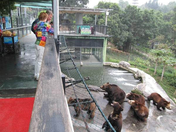 深圳野生动物园-深圳市必去景点
