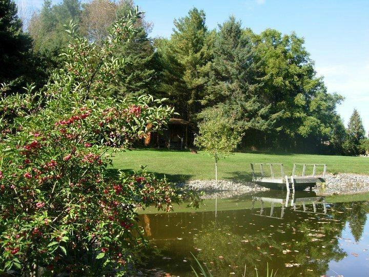 Koch Haus Bed and Breakfast主图