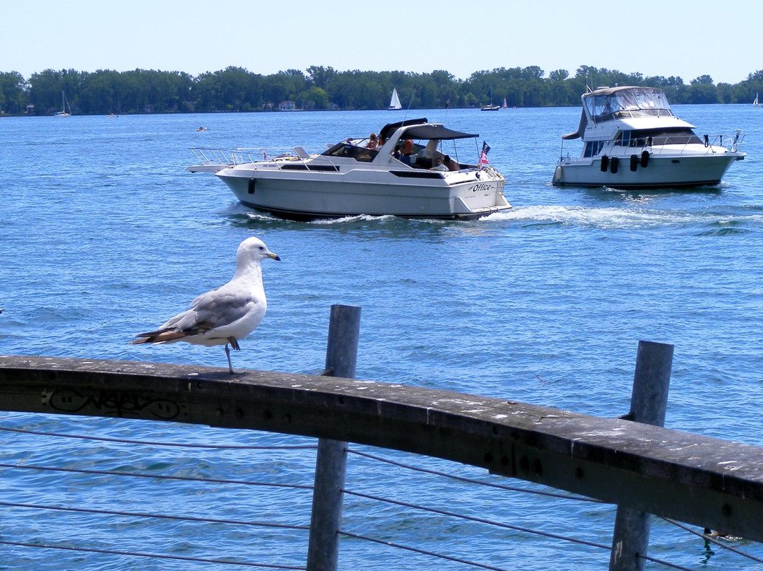 湖滨中心-多伦多必去景点