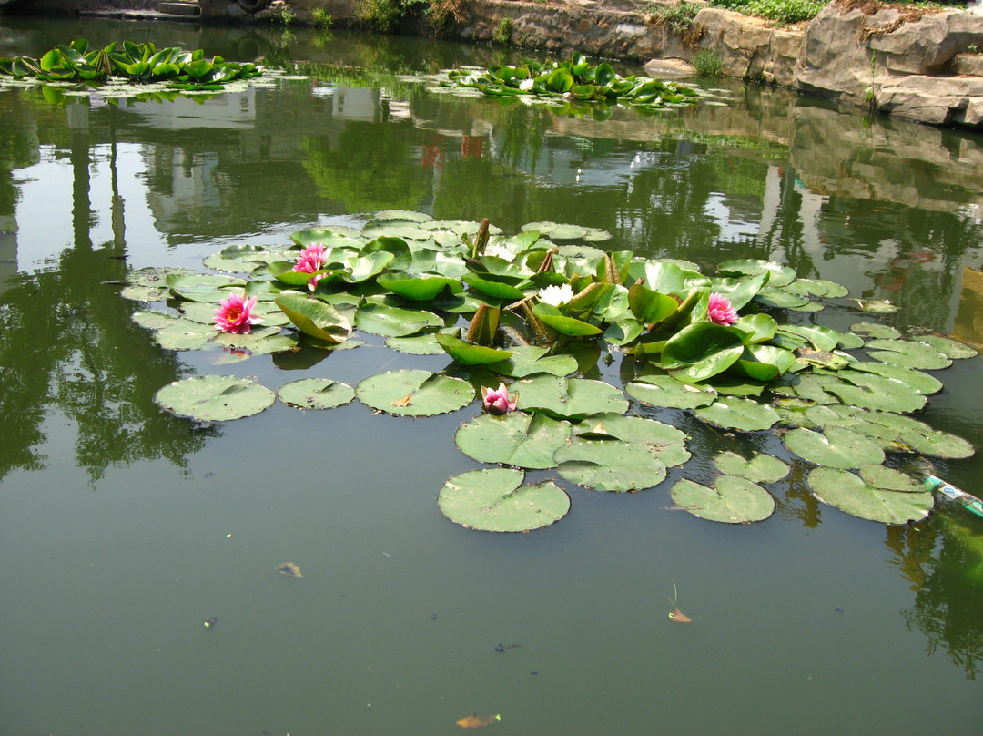 旺山农庄-苏州市必去景点