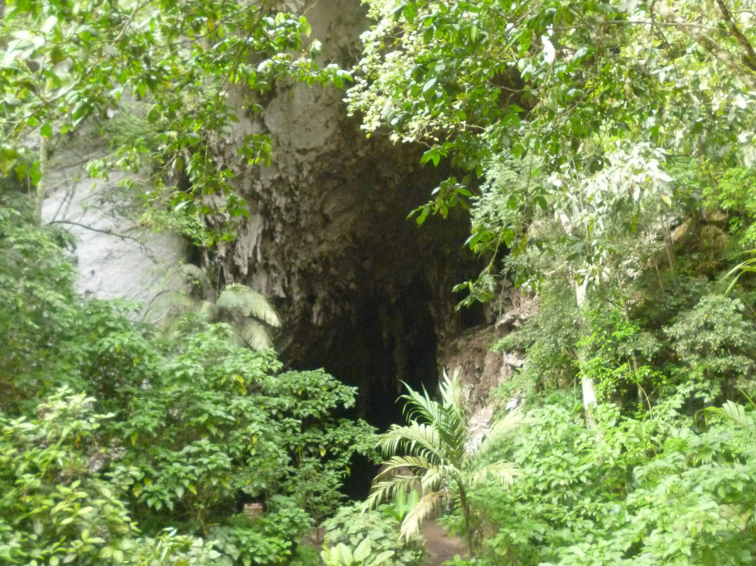 Cave of Guacharo景点图片