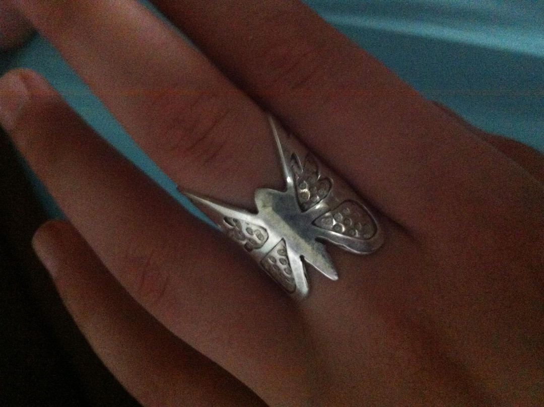 Dragonfly Silver Jewellery Making景点图片