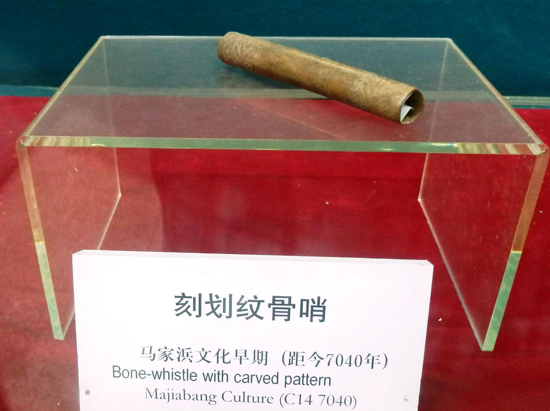 桐乡博物馆-桐乡必去景点