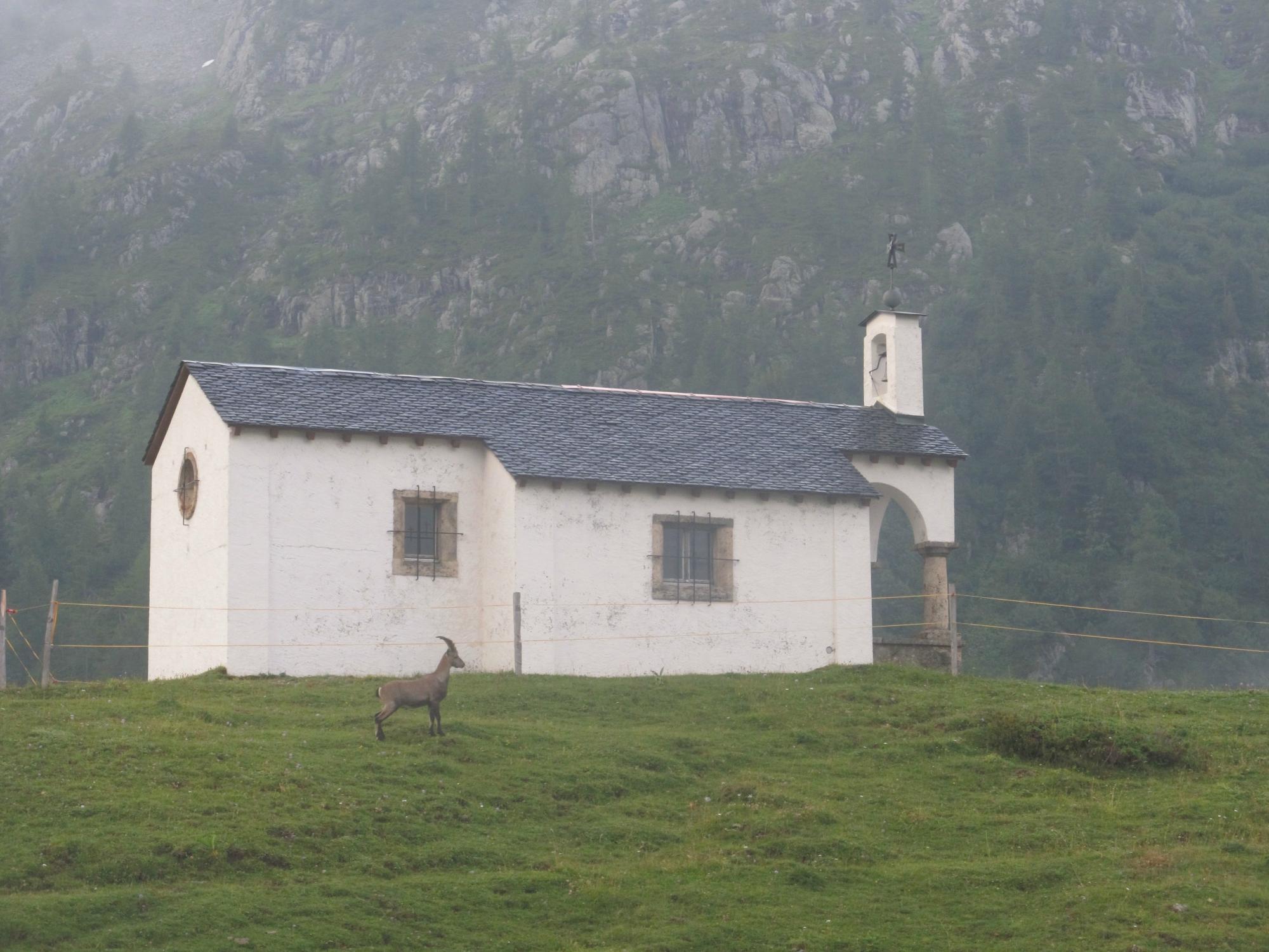 Auberge de Salanfe-客卧