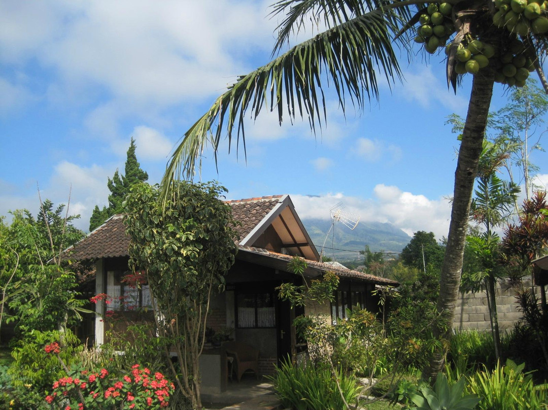 Sumbersekar酒店住宿-de Daunan Home and Garden Guest House