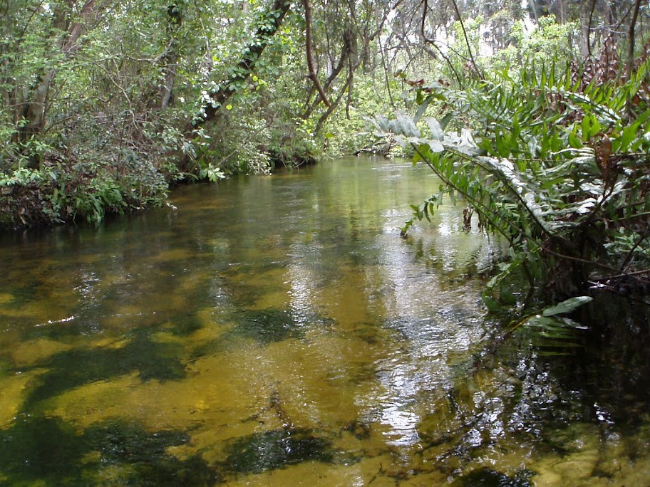 King's Landing-Apopka必去景点