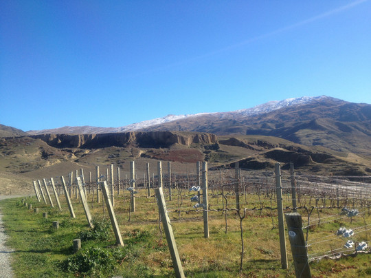 Gate 20 Two Vineyard-克伦威尔镇必去景点