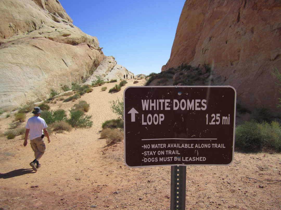 White Domes Trail-欧弗顿必去景点