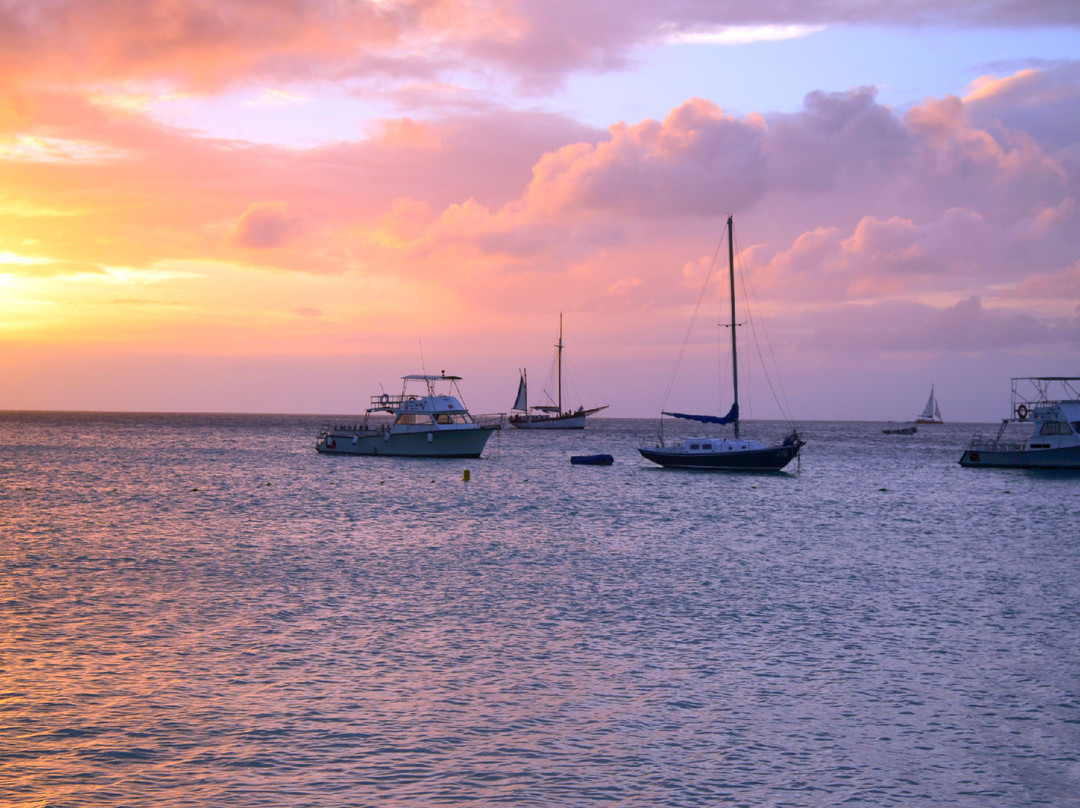 Manchebo Beach-棕榈/鹰海滩必去景点