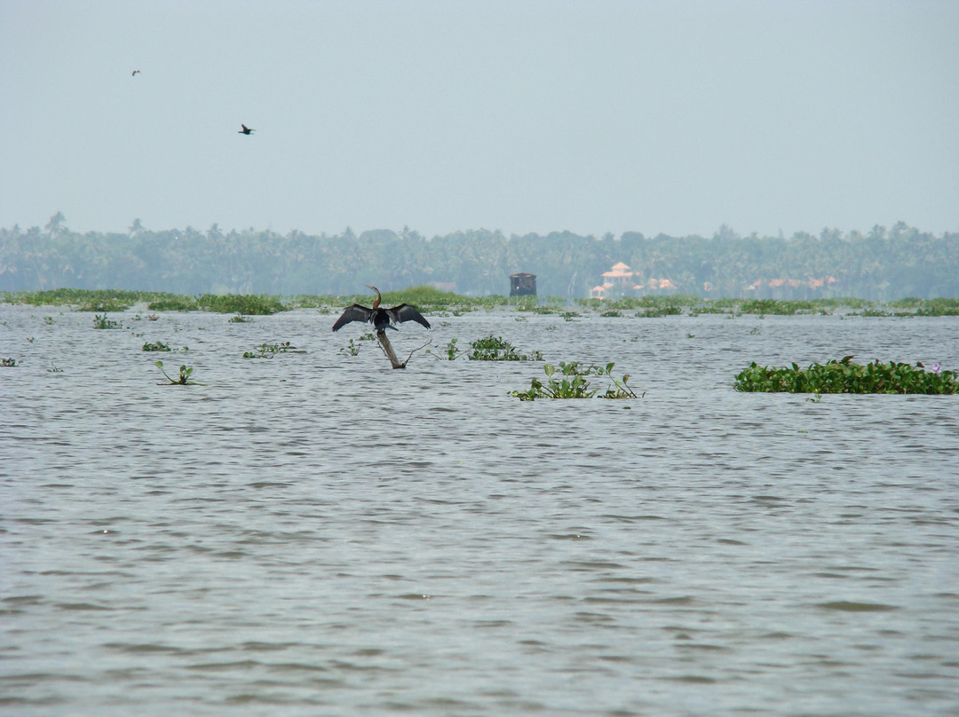 Vembanad Lake-卡拉拉必去景点