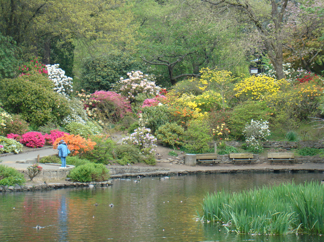Crystal Springs Rhododendron Garden-波特兰必去景点