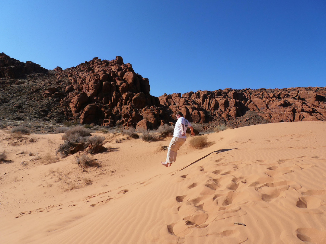 Snow Canyon State Park-犹他州必去景点