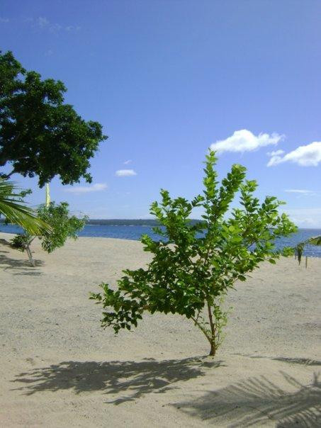 Playa Laiya景点图片