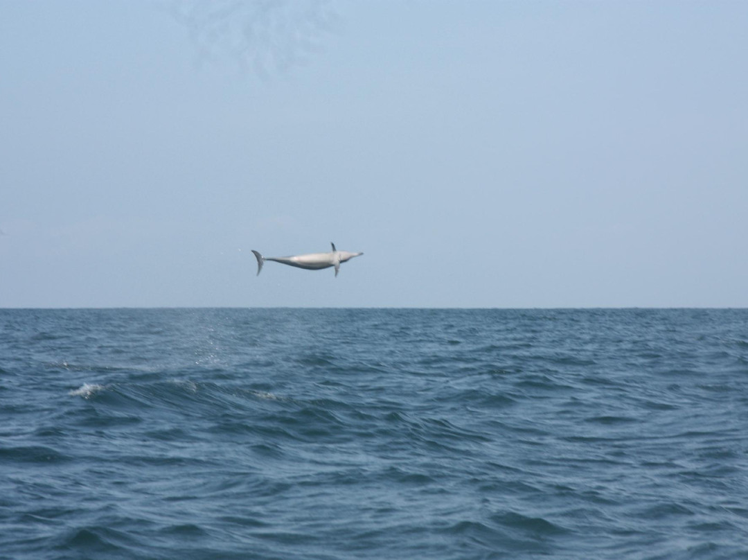 Ruwala Nature & Adventure Park-卡尔皮蒂耶必去景点