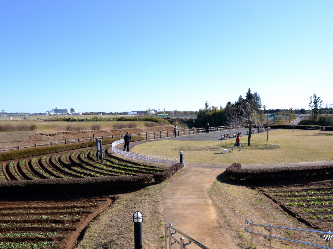 Sanrizuka Sakura no Oka-成田市必去景点