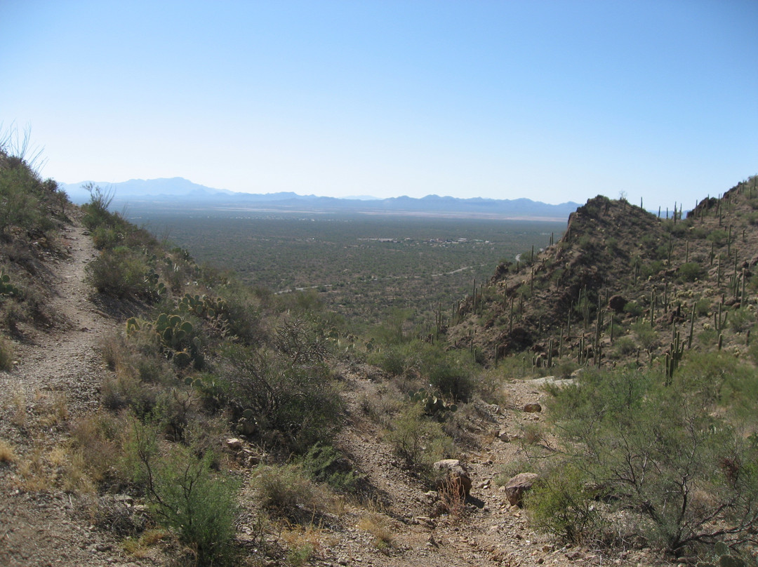 萨比诺峡谷-图森必去景点