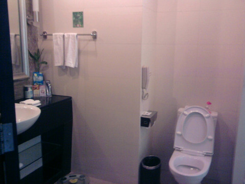 远洋大酒店主图