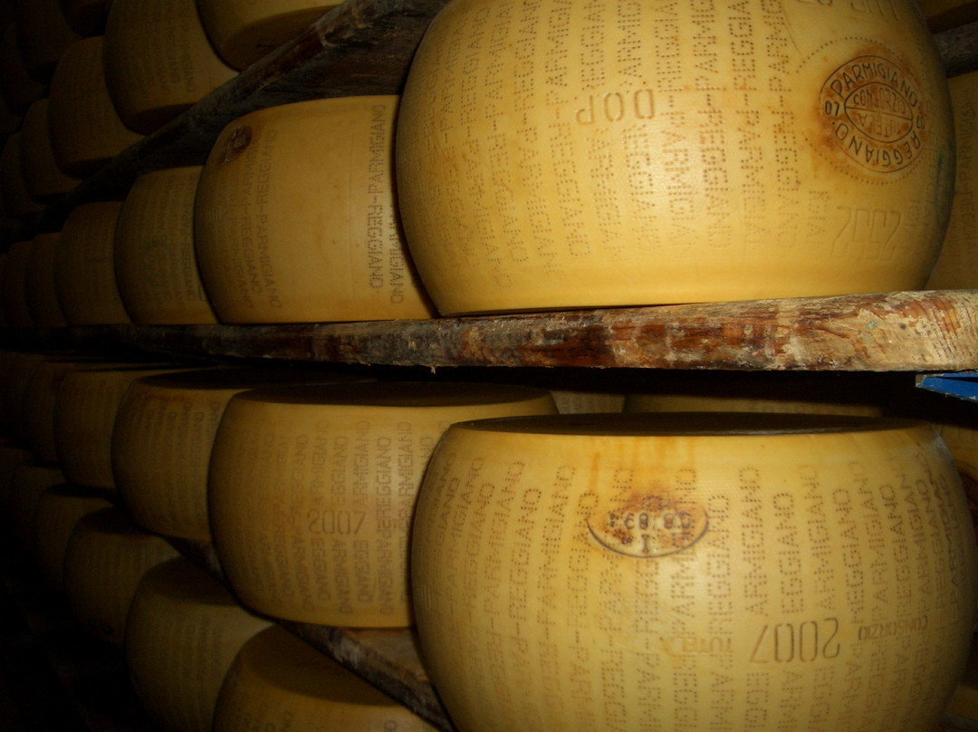 Sol Levante Tour-博洛尼亚必去景点