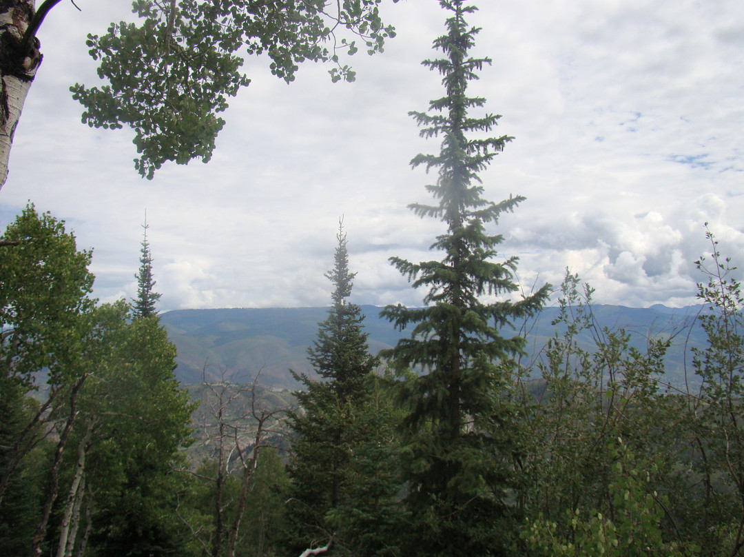 Bearcat Stables-Edwards必去景点
