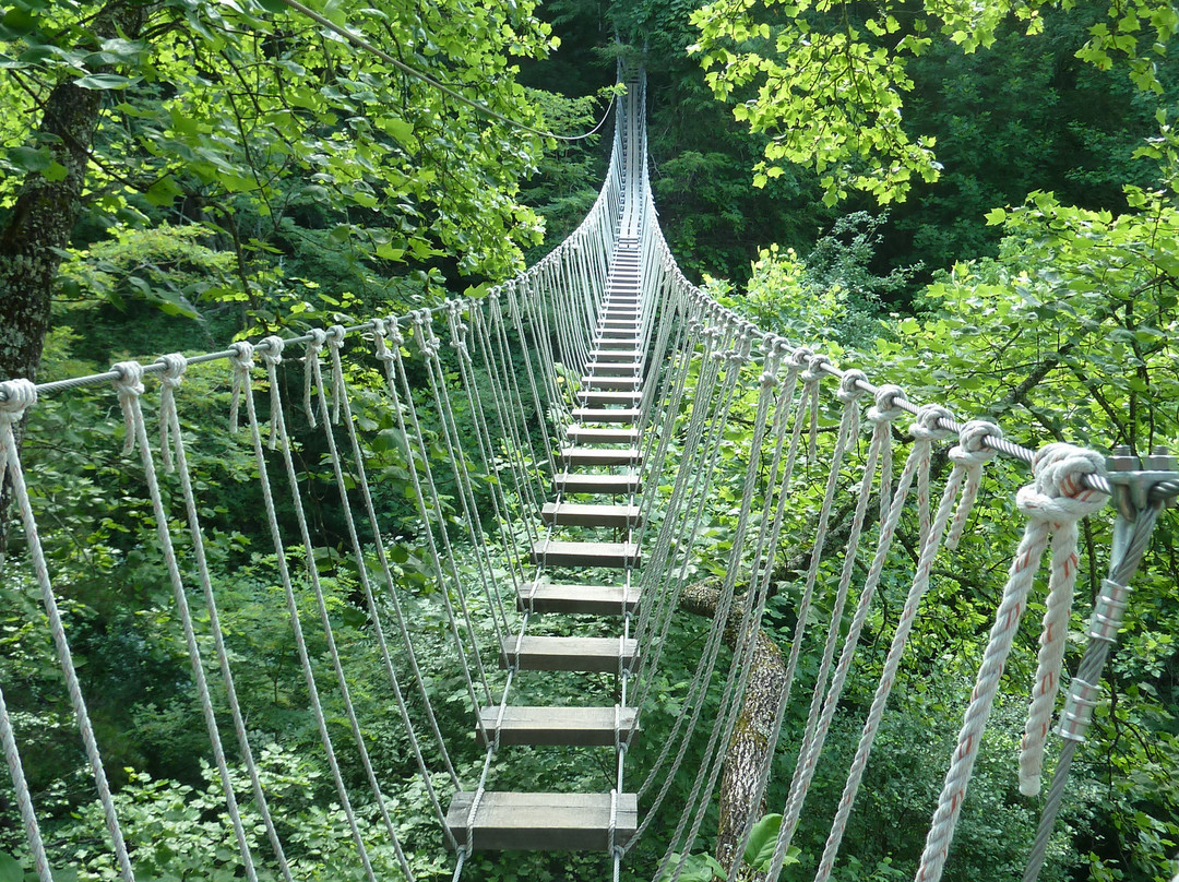 Navitat Canopy Adventures景点图片