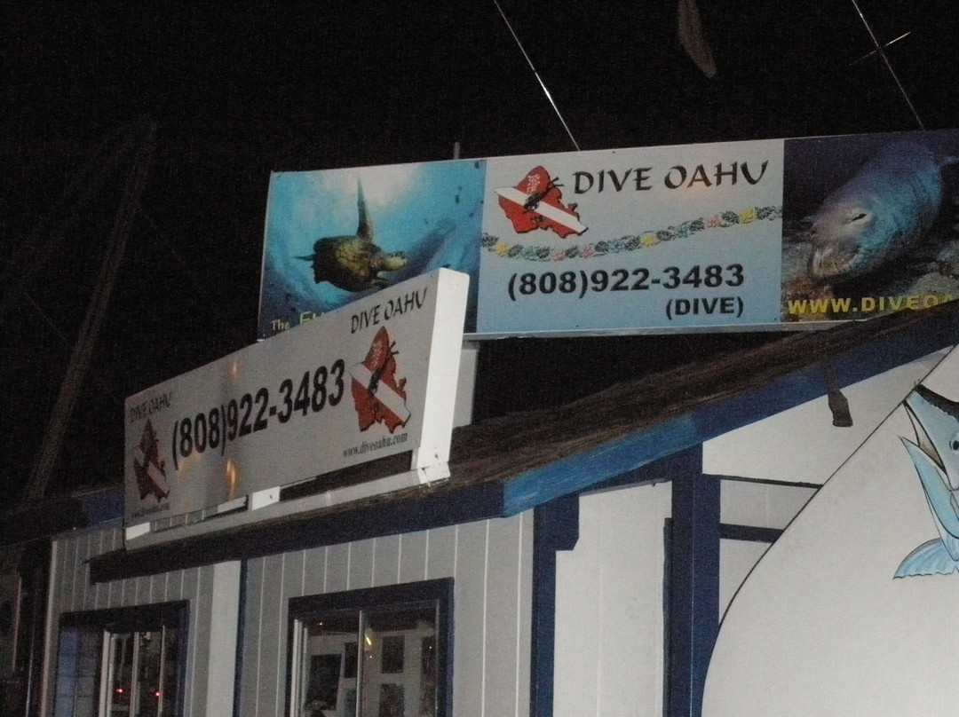 Dive Oahu-火奴鲁鲁必去景点